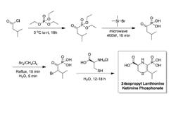 COMPOSITIONS USEFUL IN THERAPY OF AUTOPHAGY-RELATED PATHOLOGIES, AND METHODS OF MAKING AND USING THE SAME