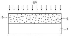 METHODS OF FORMING AN ULTRA-LOW-K DIELECTRIC LAYER AND DIELECTRIC LAYERS FORMED THEREBY