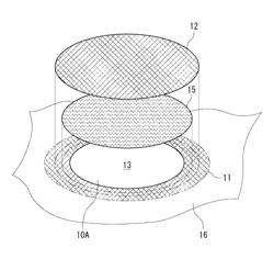 Method for repairing lightning protection material, and member provided with lightning protection material