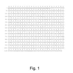 Polypeptides having xylanase activity and polynucleotides encoding same