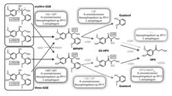 ENZYMES AND METHODS FOR PROCESSING LIGNIN AND OTHER AROMATIC COMPOUNDS