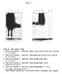 COENZYME-LINKED GLUCOSE DEHYDROGENASE AND POLYNUCLEOTIDE ENCODING THE SAME