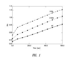 NOVEL MODIFIED ORNITHINE DECARBOXYLASE PROTEIN AND A USE THEREOF