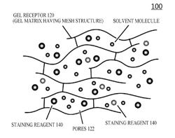 DIAGNOSTIC METHOD AND DEVICE PERFORMING THE SAME