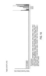 Peptides and combination of peptides and scaffolds for use in immunotherapy against renal cell carcinoma (RCC) and other cancers