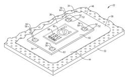 APPARATUS AND METHOD FOR ADJUSTING GRAPHIC ARTS DIE PLATE ON CARRIER