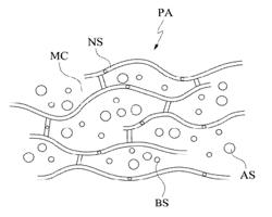 SUBSTANCE LABELING PATCH, METHOD AND APPARATUS FOR TISSUE DIAGNOSIS USING THE SAME