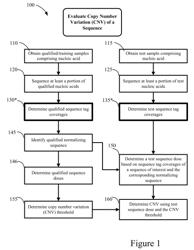 USING CELL-FREE DNA FRAGMENT SIZE TO DETERMINE COPY NUMBER VARIATIONS