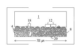 Paintable hydrophobic and lubricant-infused surface coatings and processes for making and using same