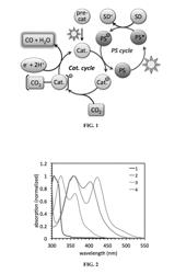 LIGHT DRIVEN METAL PINCER PHOTOCATALYSTS FOR CARBON DIOXIDE REDUCTION TO CARBON MONOXIDE