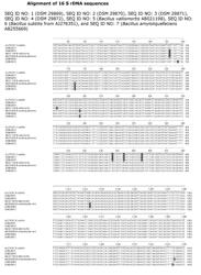 Bacillus Strains Improving Health and Performance of Production Animals