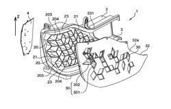 LUMINOUS DEVICE FOR LIGHTING THE ROAD, SIGNALLING OR INTERIOR LIGHTING