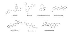 CHEMICAL MODULATORS OF STORE-OPERATED CALCIUM CHANNELS AND THEIR THERAPEUTIC APPLICATIONS