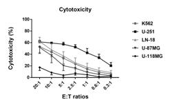 PLACENTA-DERIVED INTERMEDIATE NATURAL KILLER (PINK) CELLS FOR TREATMENT OF GLIOBLASTOMA