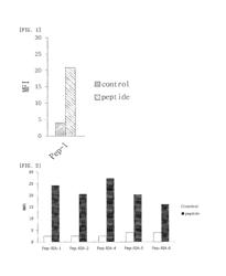 Cell penetrating peptide, conjugate comprising same, and composition comprising conjugate