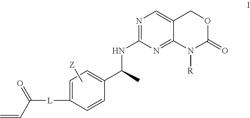 7-phenylethylamino-4H-pyrimido[4,5-d][1,3]oxazin-2-one compounds and their use as mutant IDH1 inhibitors