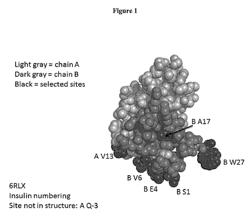 Therapeutic uses of modified relaxin polypeptides