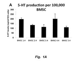 COMPOSITIONS AND METHODS TO PROMOTE WOUND HEALING