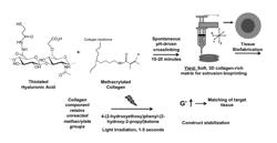 BIOINK COMPOSITIONS AND METHODS OF PREPARING AND USING THE SAME