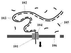 Systems and methods for determining genetic data