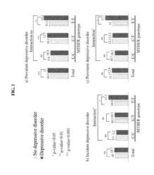 Method and kit for diagnosing depression after acute coronary syndrome using homocysteine