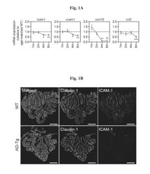 Reducing Systemic Regulatory T Cell Levels or Activity for Treatment of Disease and Injury of the CNS