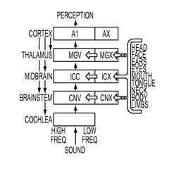 Multi-modal synchronization therapy