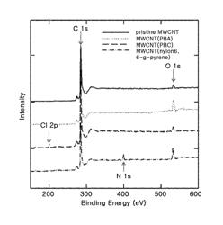 Thermoplastic polymer combined with carbon nanomaterial and method of preparing the same