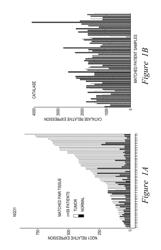 Tumor-selective combination therapy