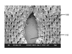 Apertured polymeric film webs and absorbent articles using such webs