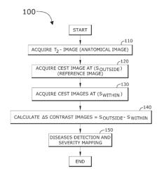 NON-INVASIVE IMAGING METHOD FOR EARLY DETECTION AND MAPPING THE SEVERITY OF DISEASES BY USING CEST MRI