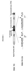 MODIFIED RSV F PROTEINS AND METHODS OF THEIR USE