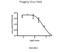 HETEROCYCLIC DERIVATIVES FOR THE TREATMENT OF RSV