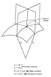 Folding Biological Tissue Via Programmed Cellular Contractility