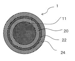 Insulated Wire