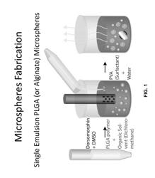 TREATING SOFT TISSUE VIA CONTROLLED DRUG RELEASE