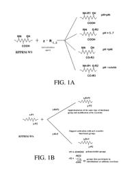 CONCENTRATED PROTEIN MATERIALS FROM DE-CHLOROPHYLLIZED AQUATIC PLANT BIOMASS