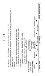 Method of treating or ameliorating metabolic disorders using binding proteins for gastric inhibitory peptide receptor (GIPR) in combination with GLP-1 agonists