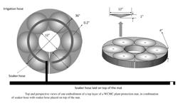 DEVICE AND METHOD FOR SOIL MOISTURE STABILIZATION AND TREE OR PLANT PROTECTION