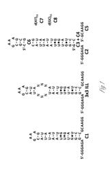 TRANSCRIPTOME-WIDE DESIGN OF SELECTIVE, BIOACTIVE SMALL MOLECULES TARGETING RNA