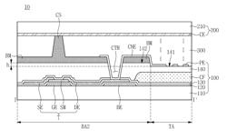 Display device and manufacturing method of the same