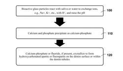 BIOACTIVE GLASS COMPOSITIONS AND DENTIN HYPERSENSITIVITY REMEDIATION