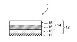 Exhaust gas purification catalyst