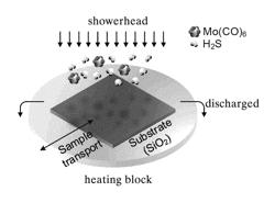 Method for manufacturing two-dimensional transition metal dichalcogemide thin film