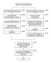 Biological substance quantitation method, pathological diagnosis support system and recording medium storing computer readable program