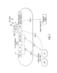 Therapeutic gene-switch constructs and bioreactors for the expression of biotherapeutic molecules, and uses thereof