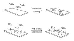 Universal scalable and cost-effective surface modifications