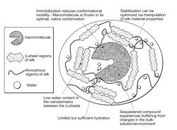 Biopolymer-Based Inks and Use Thereof