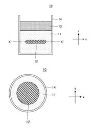 THREE-DIMENSIONAL TISSUE