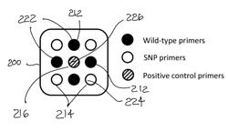 METHOD FOR DETECTING NUCLEOTIDE POLYMORPHISMS